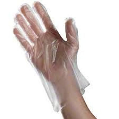 Picture of Foodservice Gloves, Medium, Poly,  1 Mil
