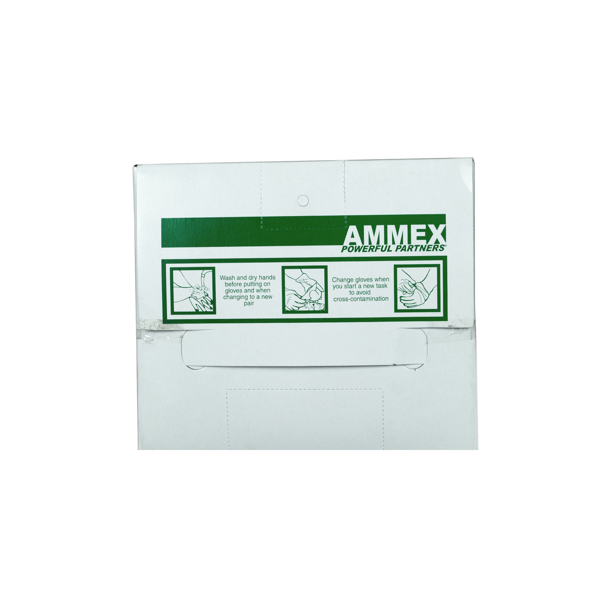 Picture of AMMEX Food Service Glove, Large,  Poly, Disposable, 100 EA/BX