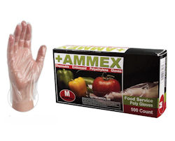 Picture of AMMEX Poly Glove, Medium, Food  Service, Disposable, 500 EA/BX